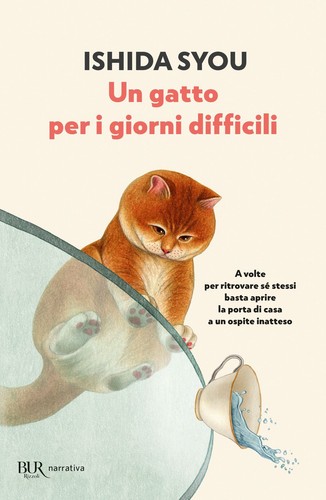 Libri ishida syou un gatto - libri,