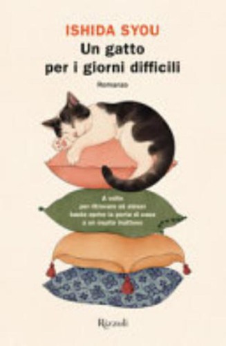 Gatto per giorni - un,