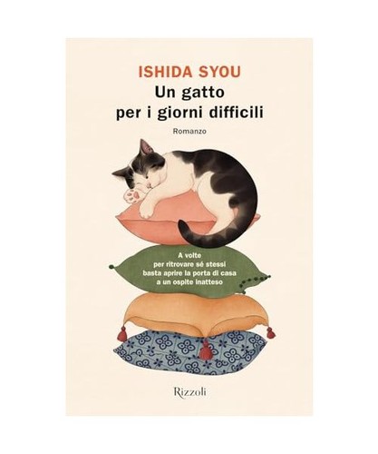 Gatto per giorni - un,