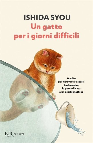 Libro gatto per giorni - un,